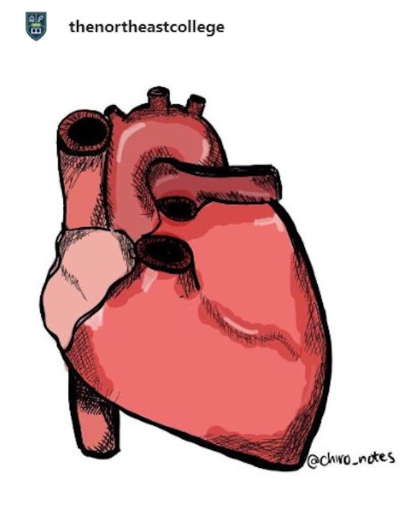 Sketch of a Heart diagram